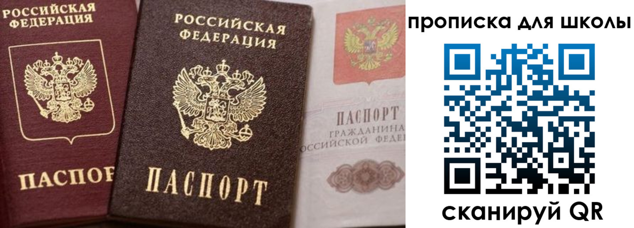 прописка законно в Стародубе
